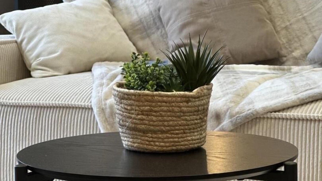 Photo of Livingroom in Corbonod