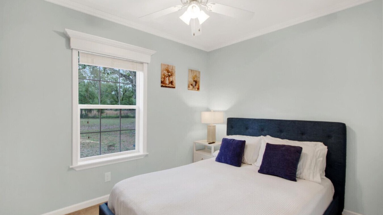 Photo of Bedroom in Wesley Chapel