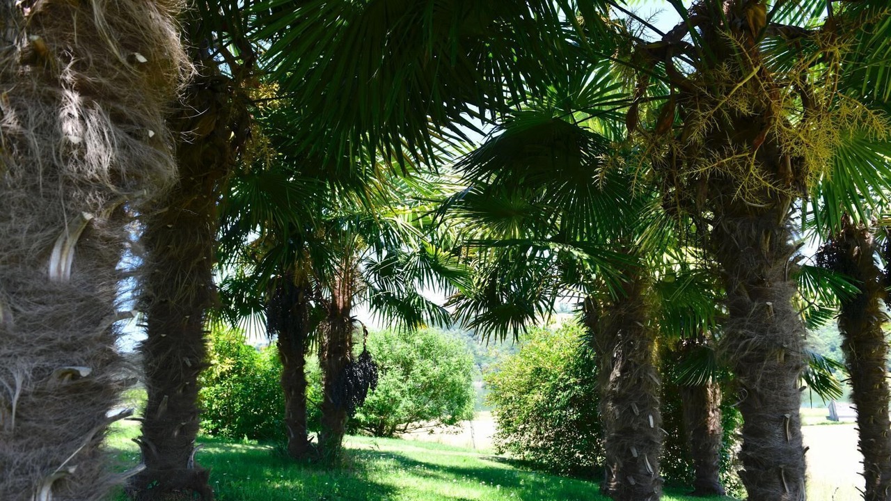 Photo of Outdoor in Viellesegure