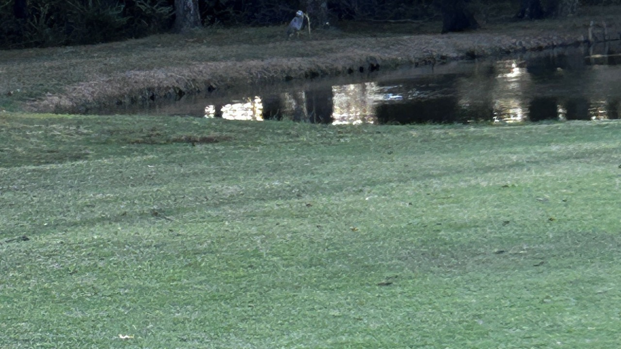 Photo of Others in Conroe