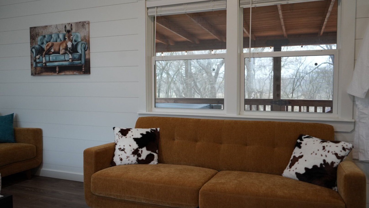 Photo of Livingroom in Ardmore