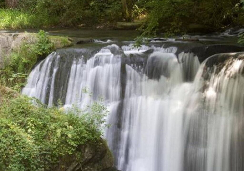 Photo of Others in Sudden Valley