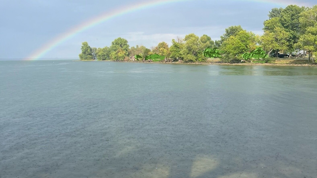 Photo of Others in Three Mile Bay