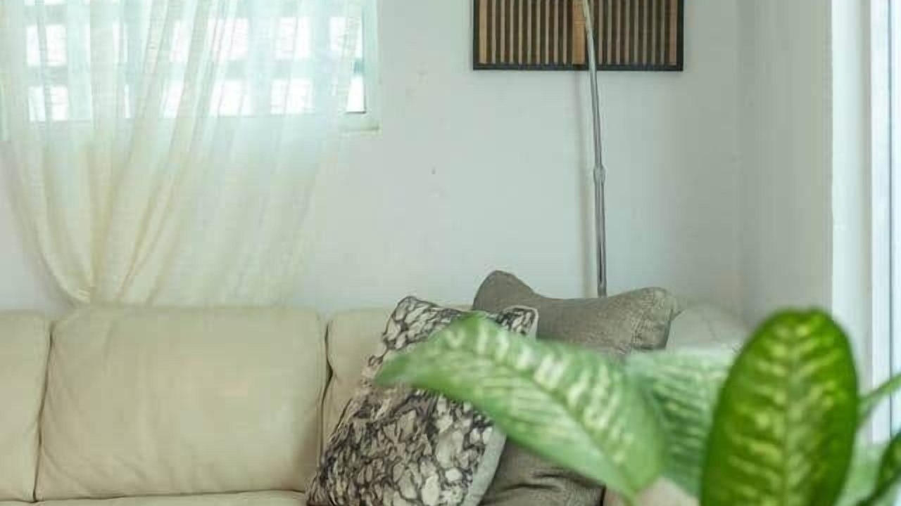 Photo of Livingroom in Matamoros
