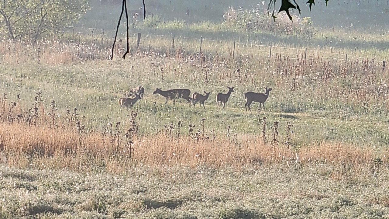 Photo of Others in Farris