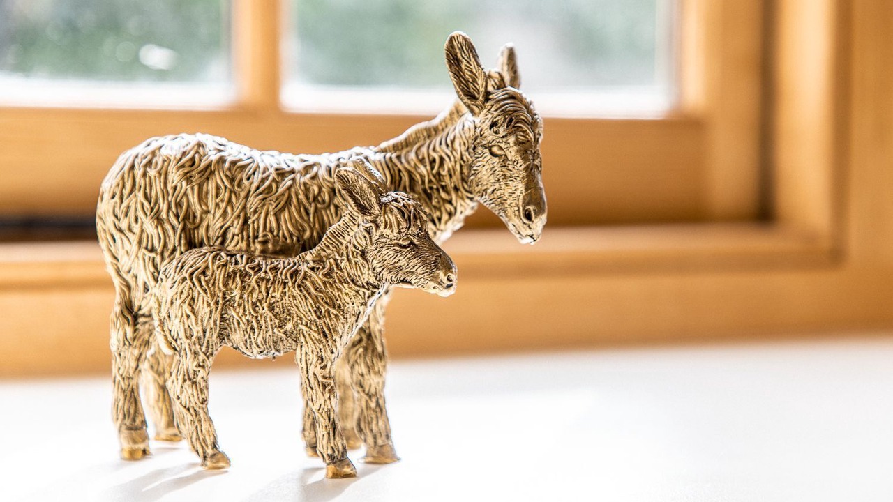 Photo of Others in Preston