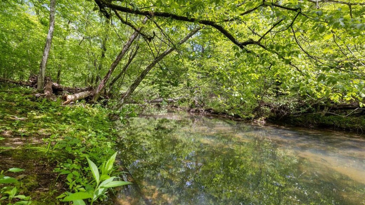 Photo of Others in Broken Bow