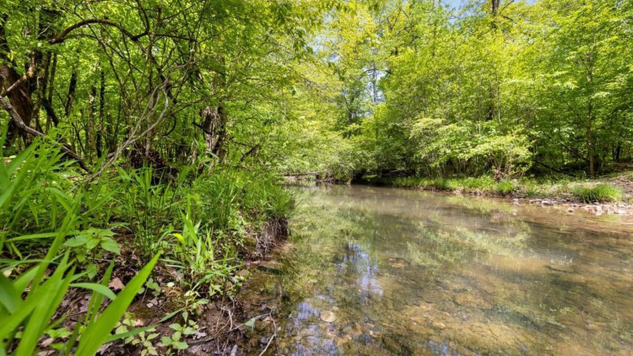 Photo of Others in Broken Bow
