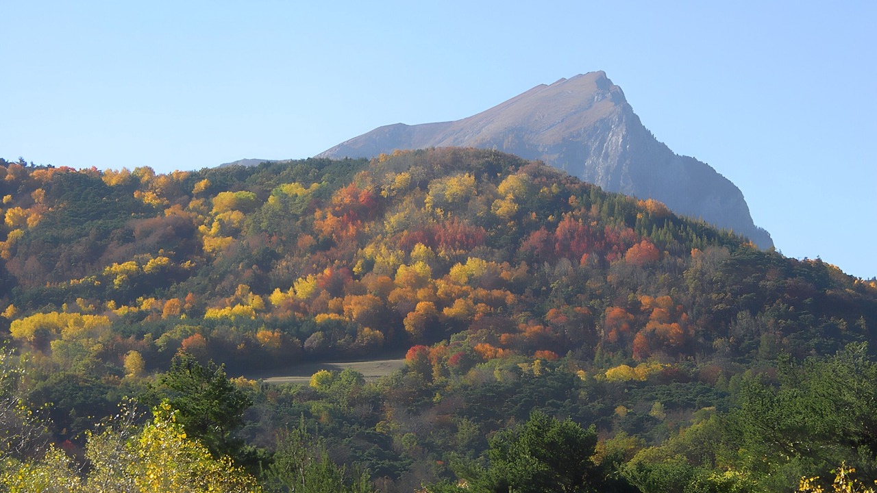 Photo of Others in Crots