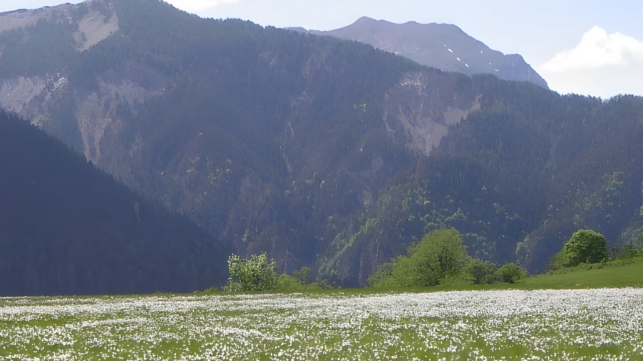 Photo of Others in Crots