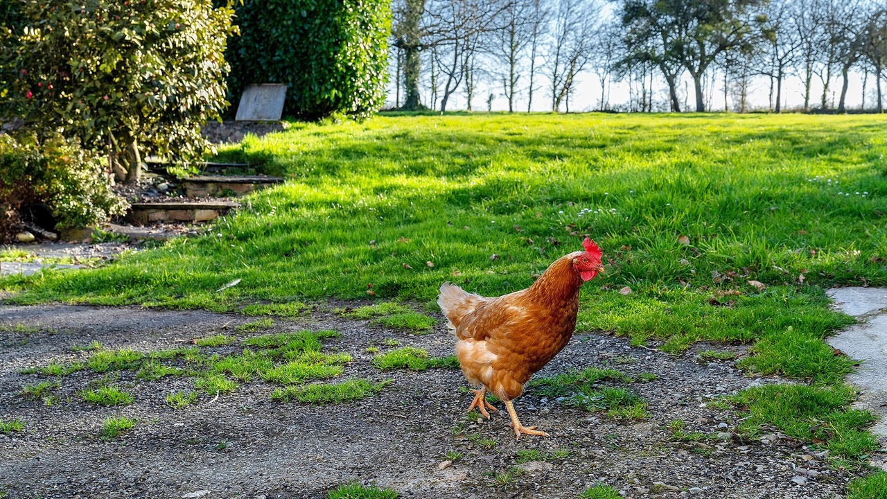 Photo of Outdoor in Armaille