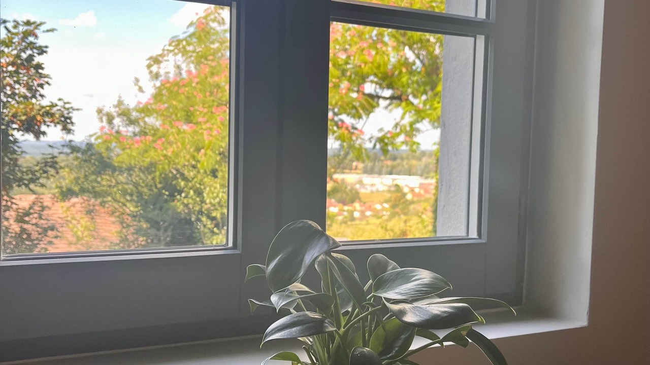 Photo of Others in Gourdon