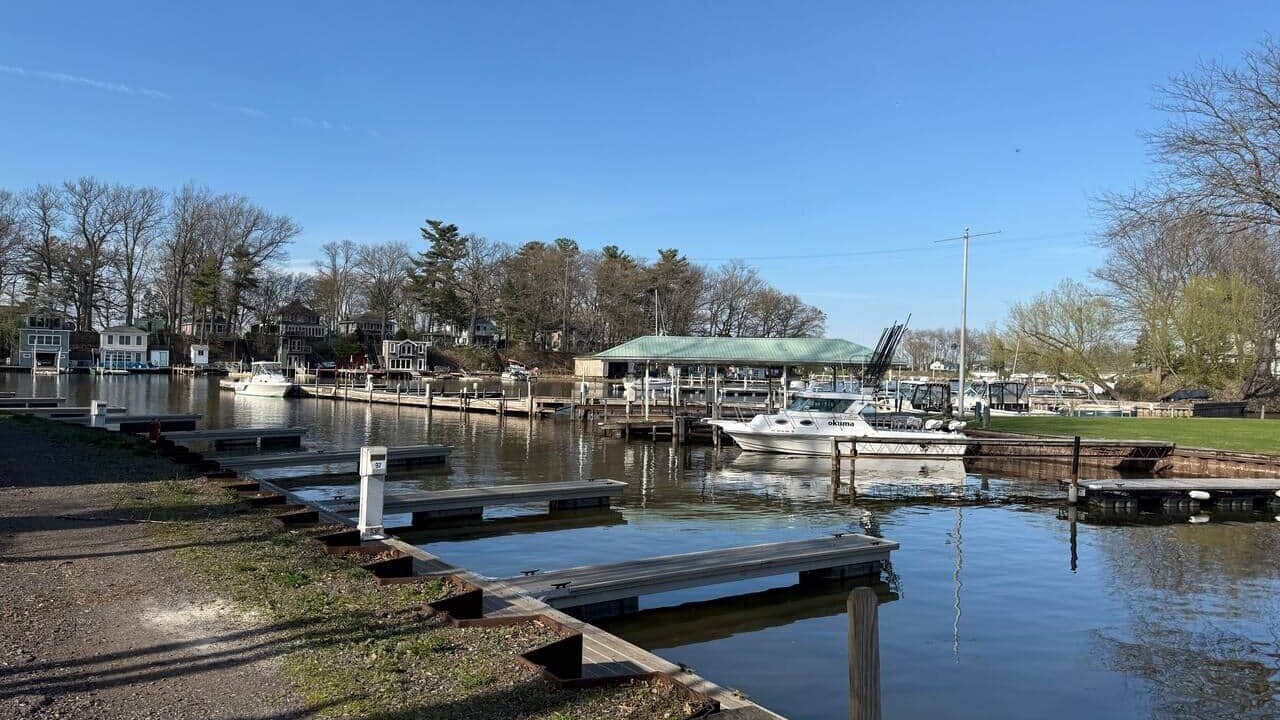 Photo of Others in Wilson