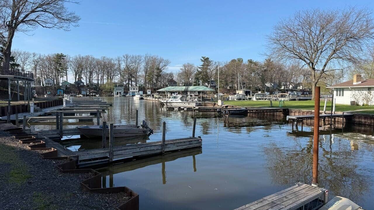 Photo of Others in Wilson