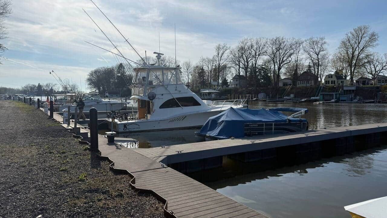 Photo of Others in Wilson