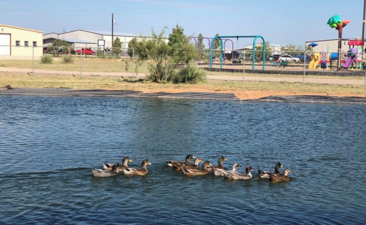 Photo of Others in West Odessa