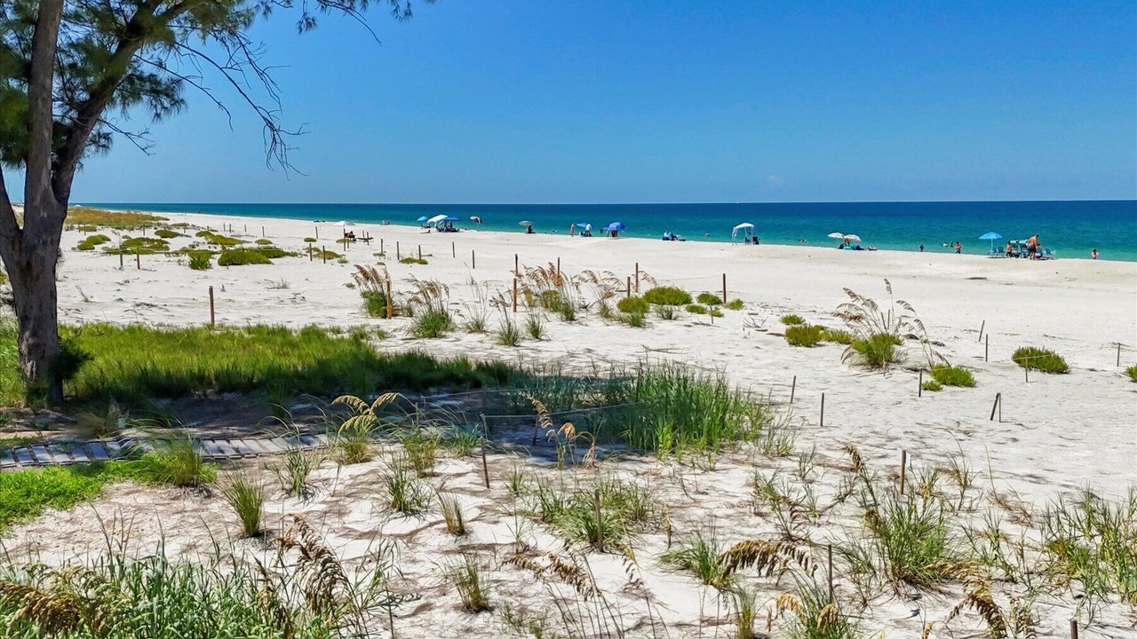 Photo of Others in Boca Grande