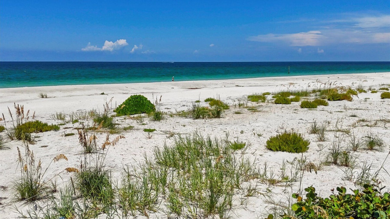 Photo of Others in Boca Grande