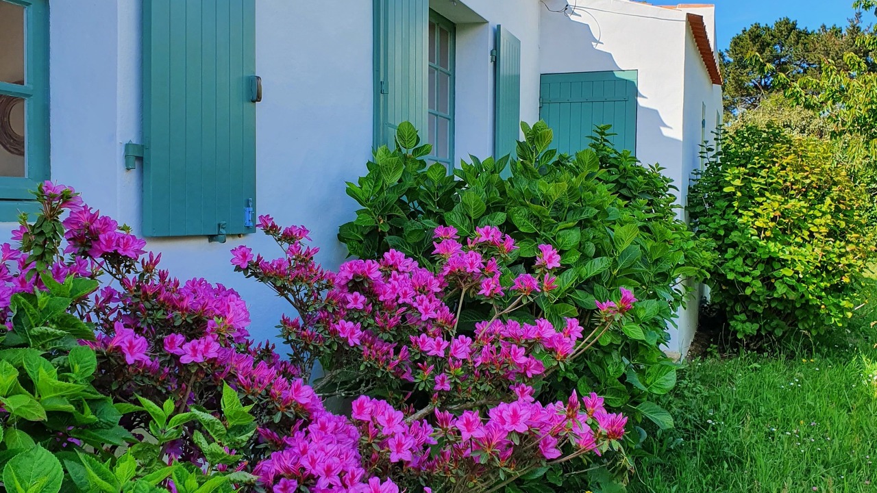 Photo of Outdoor in Ile d'Yeu