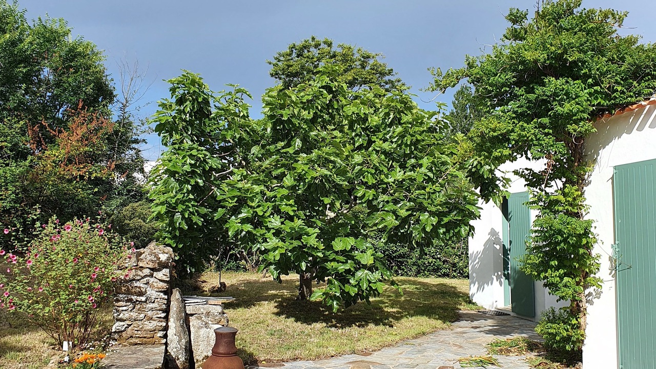 Photo of Outdoor in Ile d'Yeu