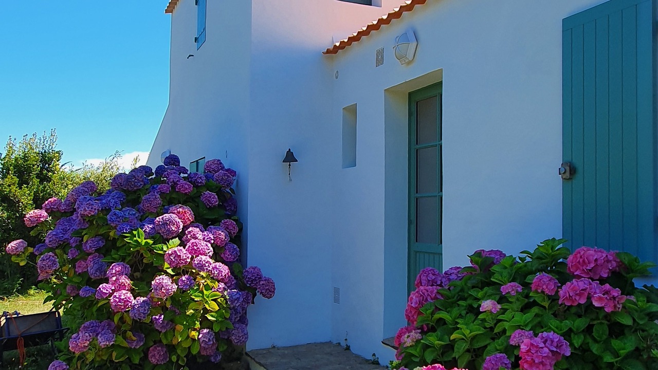 Photo of Outdoor in Ile d'Yeu