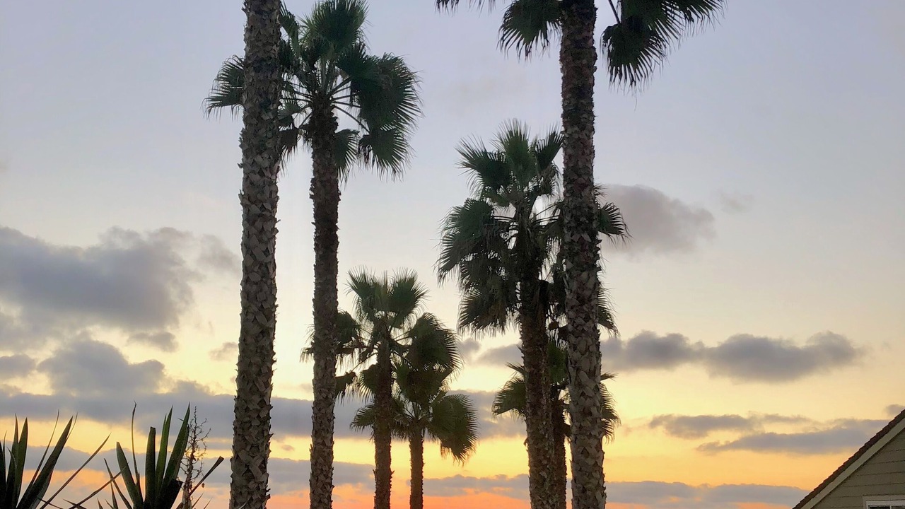 Photo of Others in Leucadia