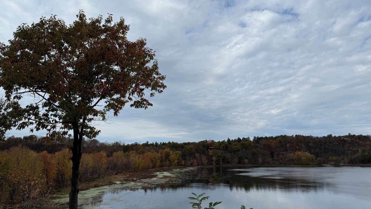 Photo of Others in Hammond