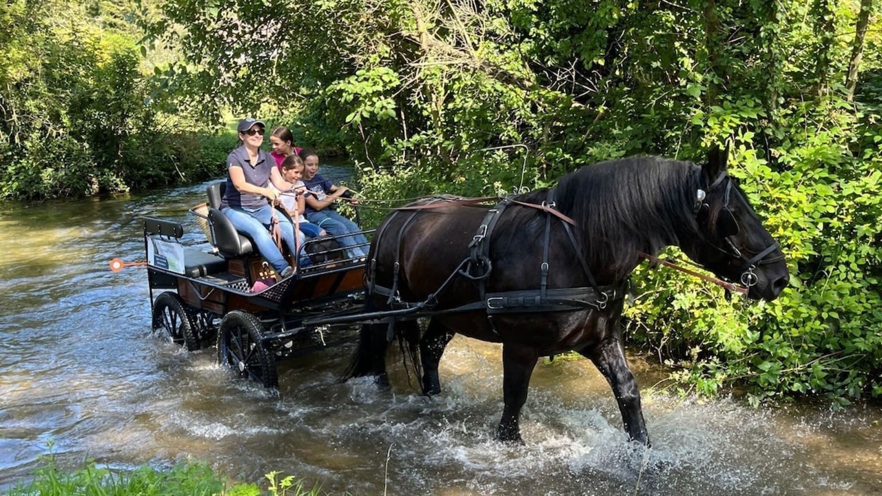 Photo of Others in Mentheville