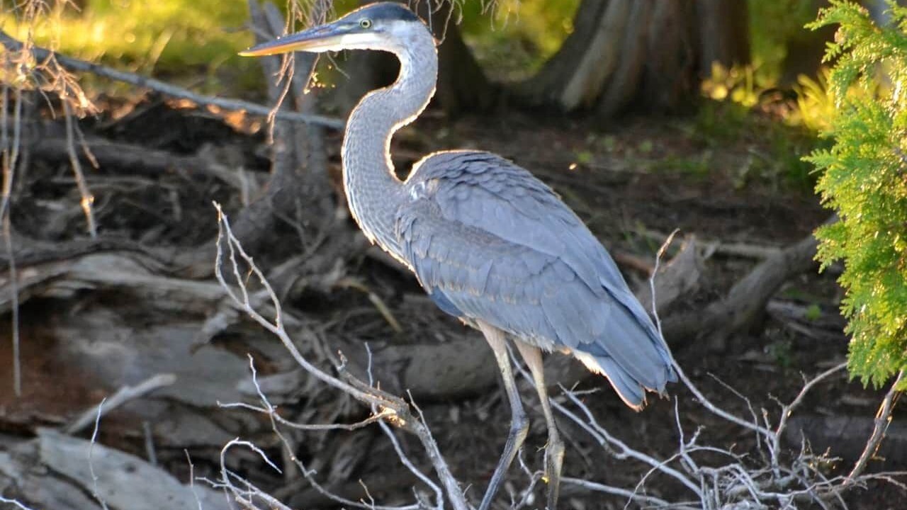 Photo of Others in Rideau Lakes