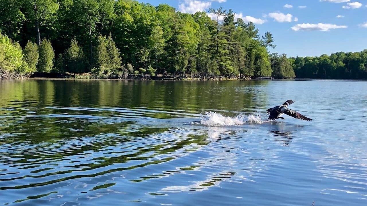Photo of Others in Rideau Lakes