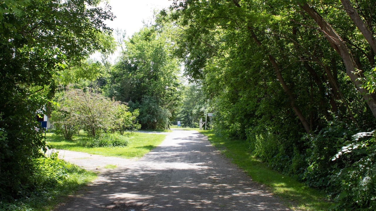 Photo of Others in Newboro