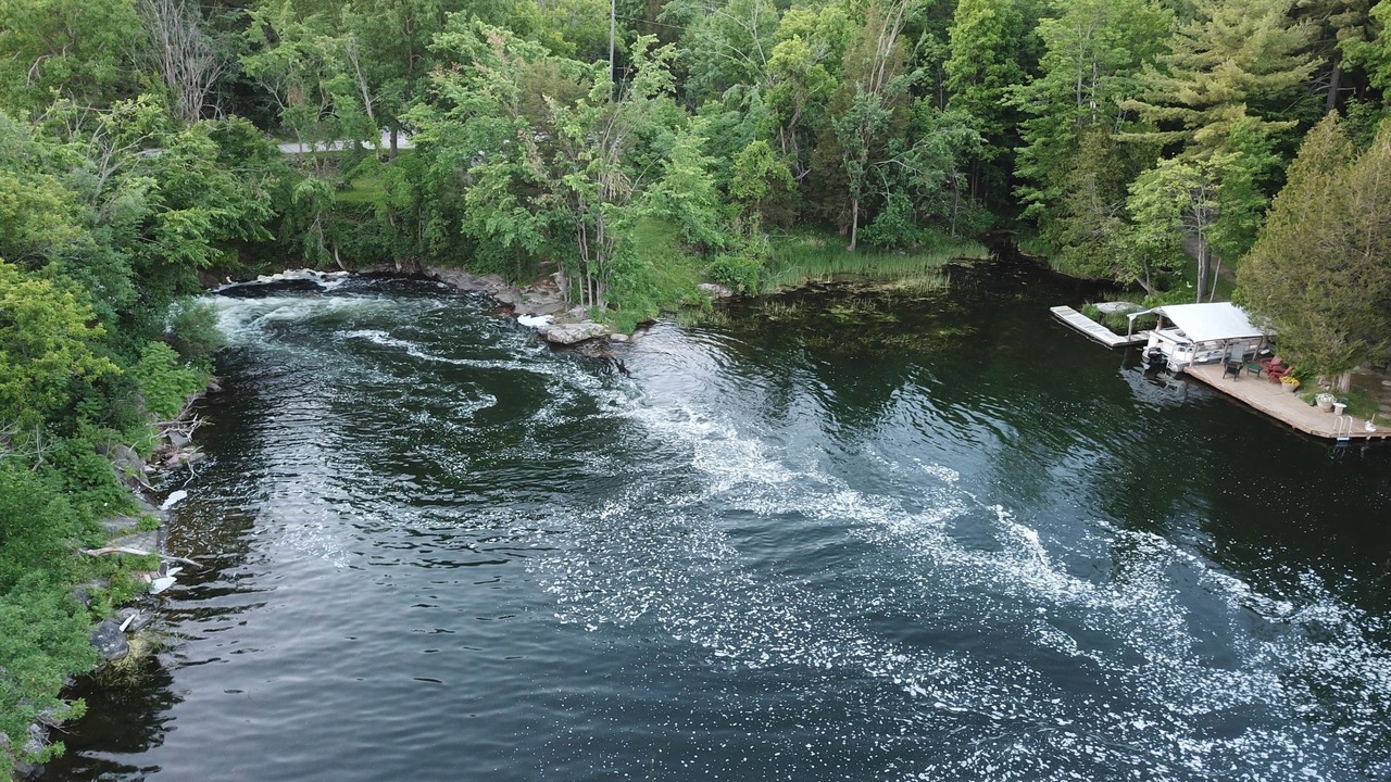 Photo of Others in Rideau Lakes