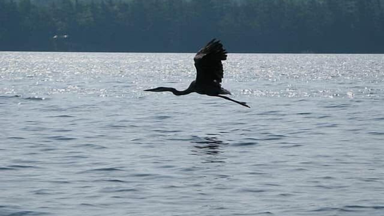 Photo of Others in Rideau Lakes