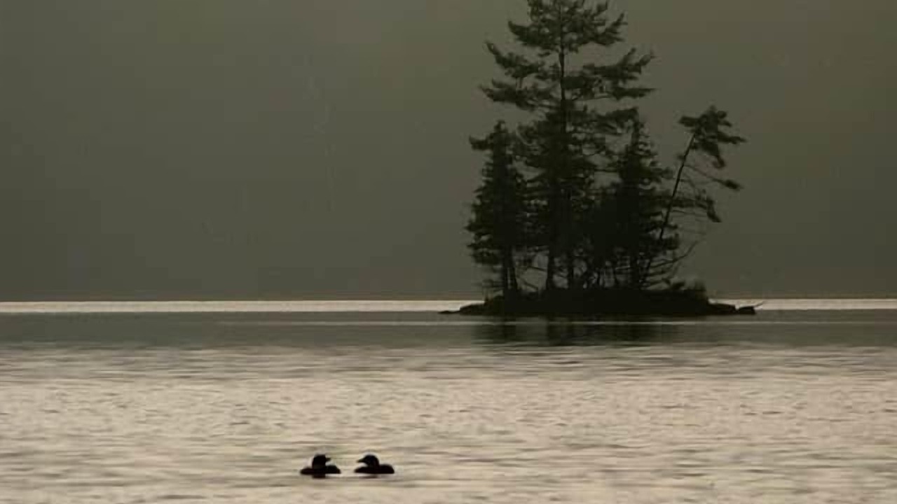 Photo of Others in Rideau Lakes