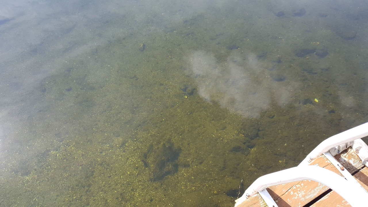 Photo of Outdoor in Rideau Lakes