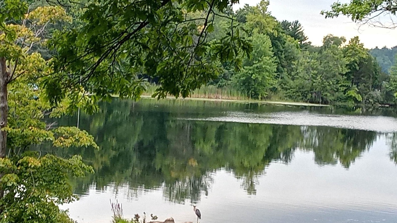 Photo of Outdoor in Jones Falls
