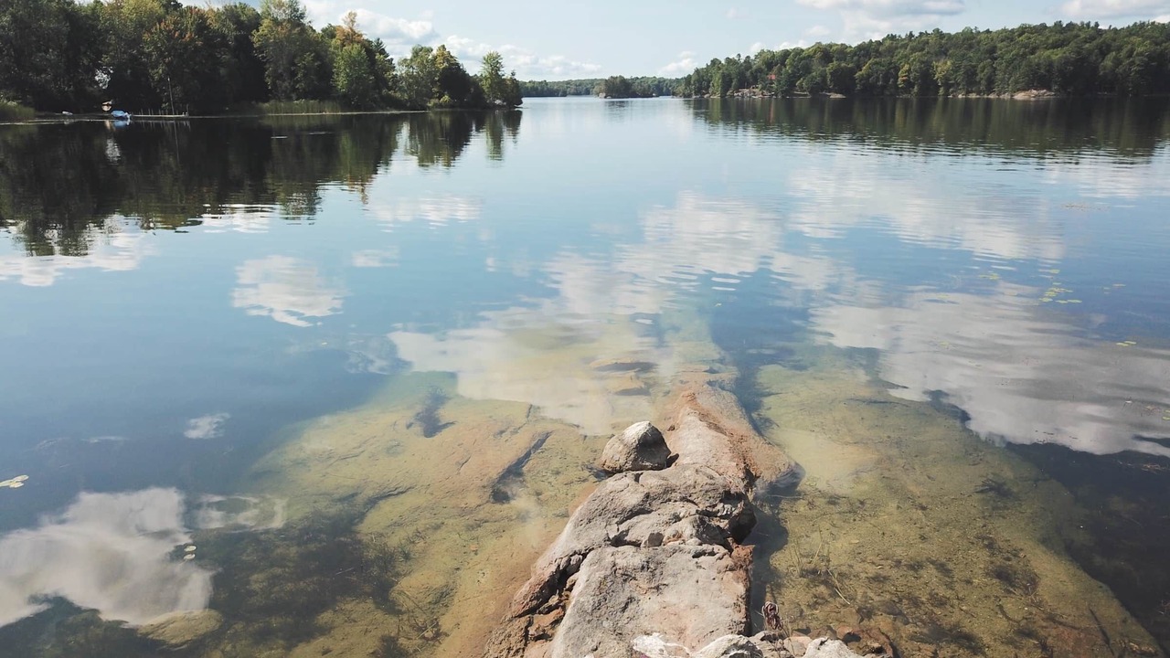 Photo of Others in Jones Falls
