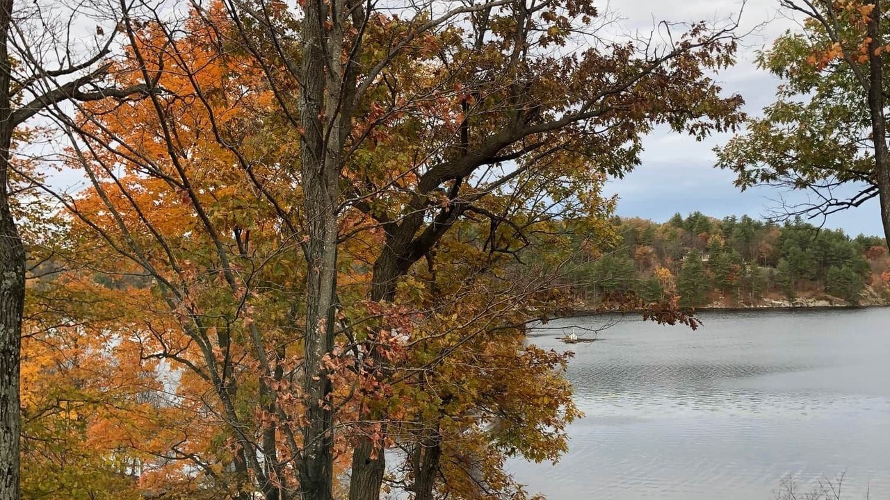 Photo of Others in Jones Falls