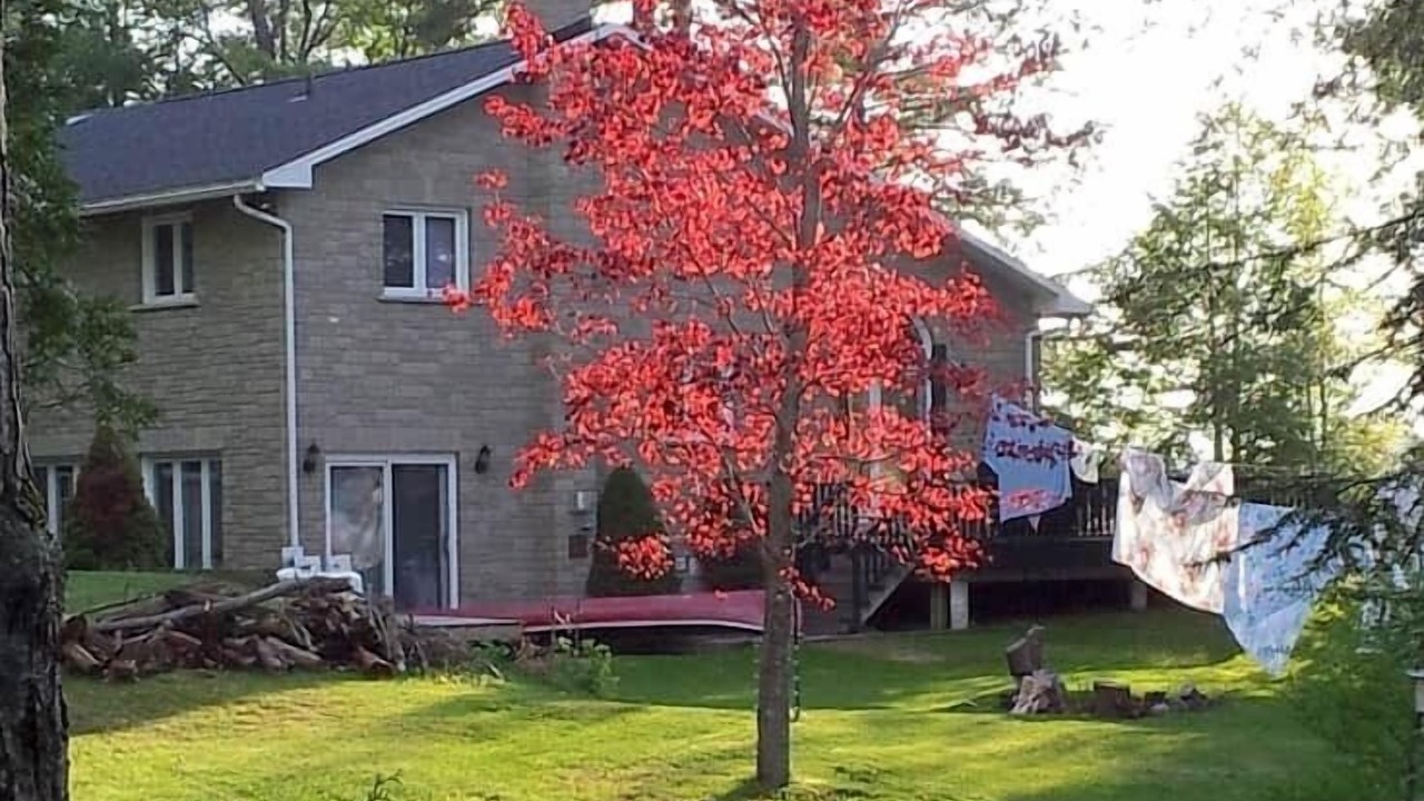 Photo of Outdoor in Rideau Lakes