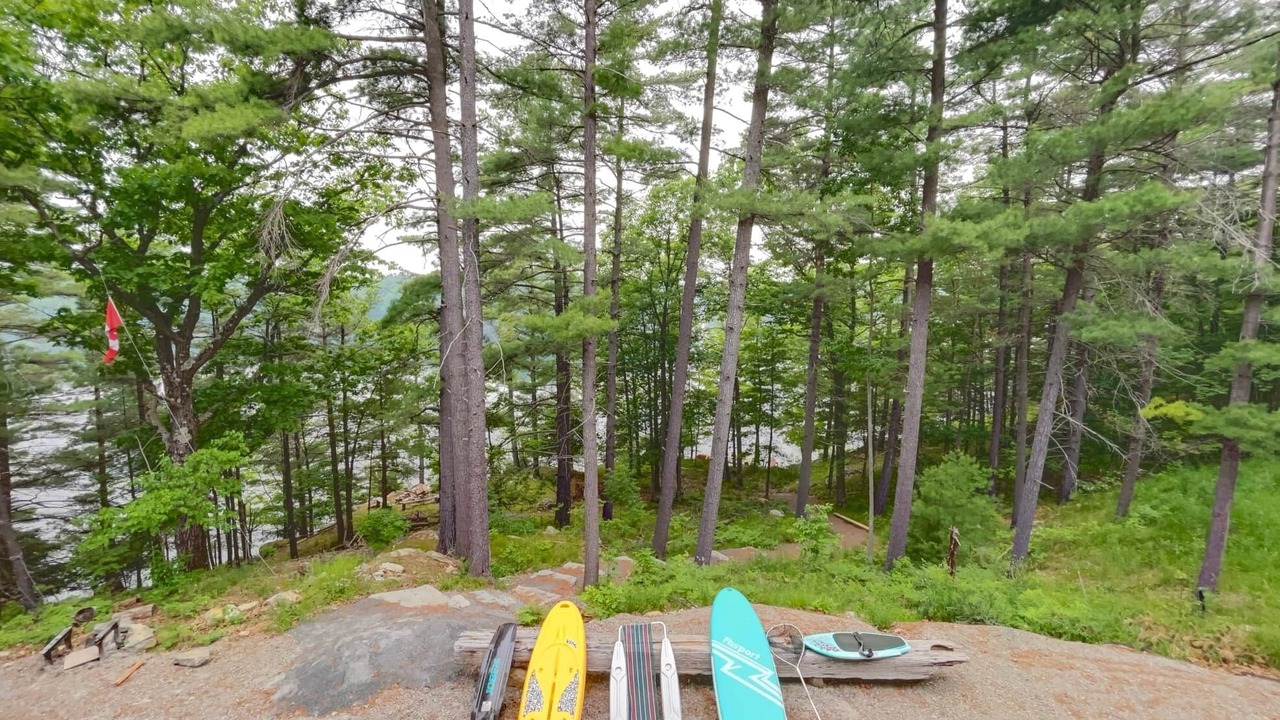 Photo of Others in Jones Falls