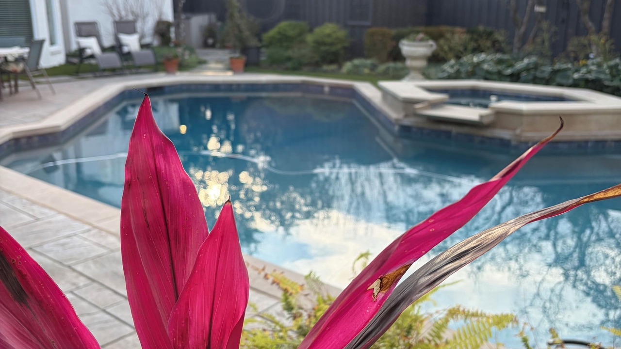 Photo of Outdoor in Far North Dallas
