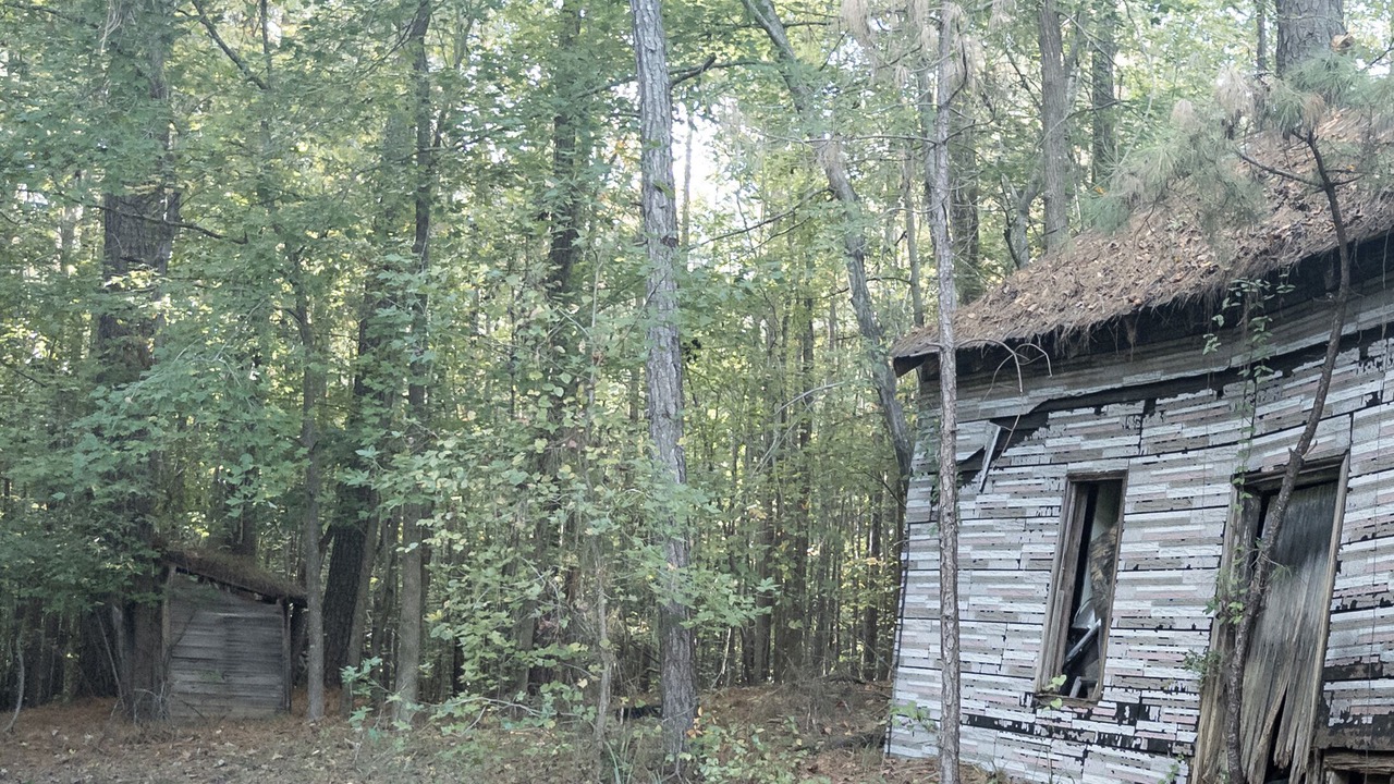 Photo of Outdoor in Chapel Hill
