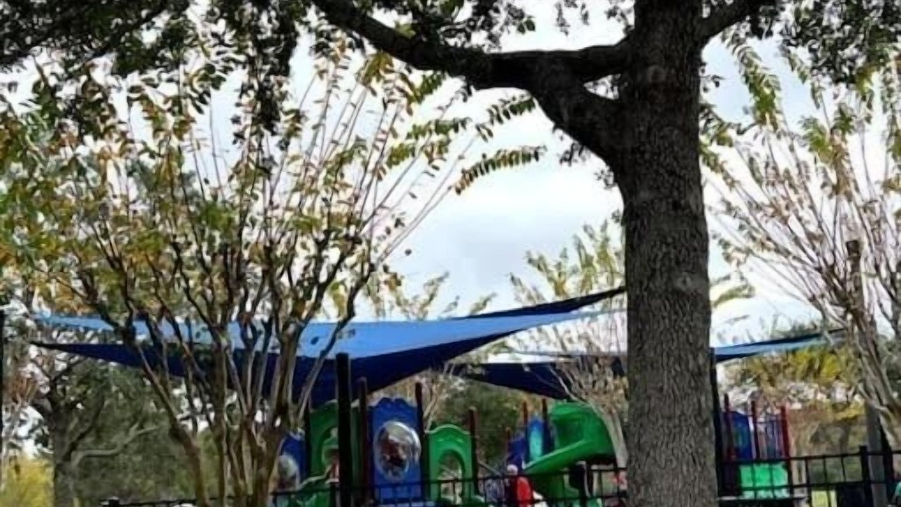 Photo of Others in Orlando