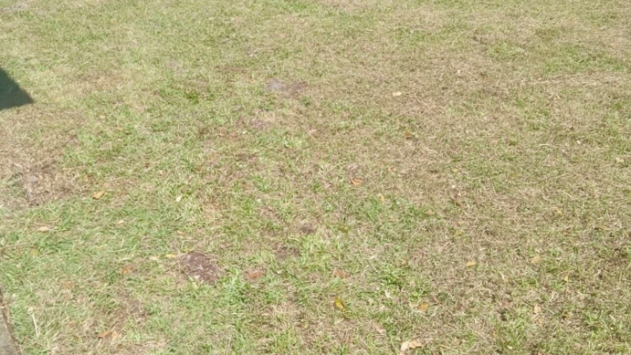 Photo of Outdoor in Largo