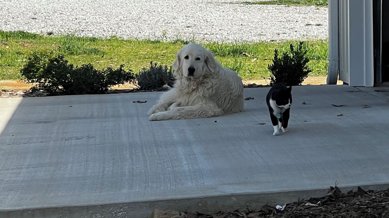 Photo of Outdoor in Fayetteville