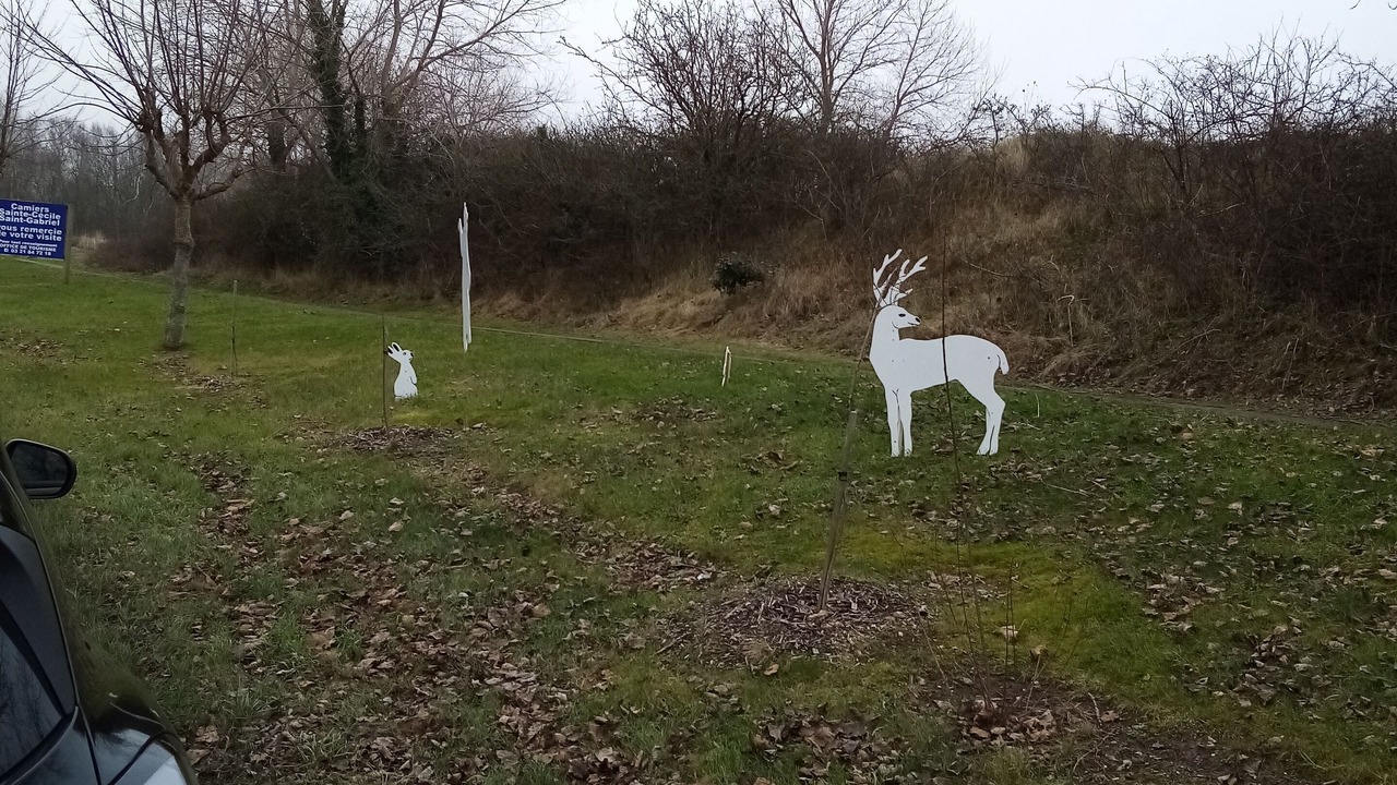 Photo of Others in Camiers