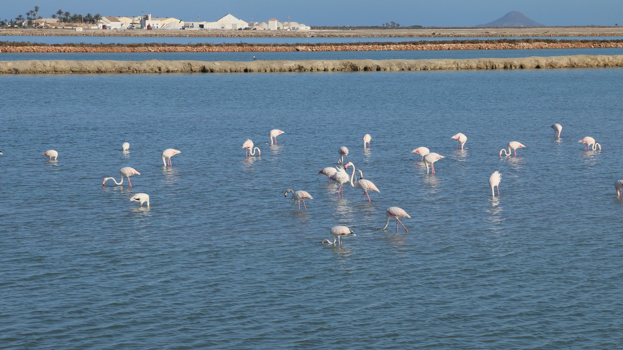 Photo of Others in Molino del Chirrete