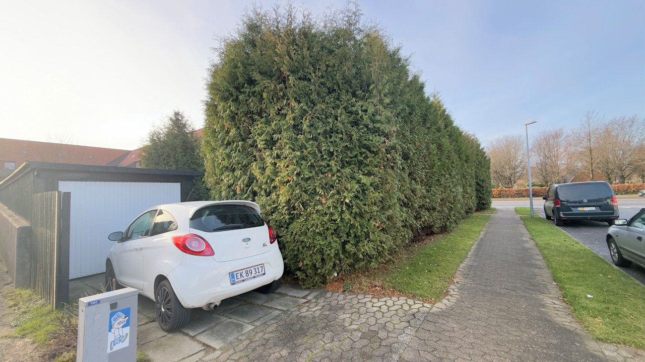 Photo of Outdoor in Esbjerg