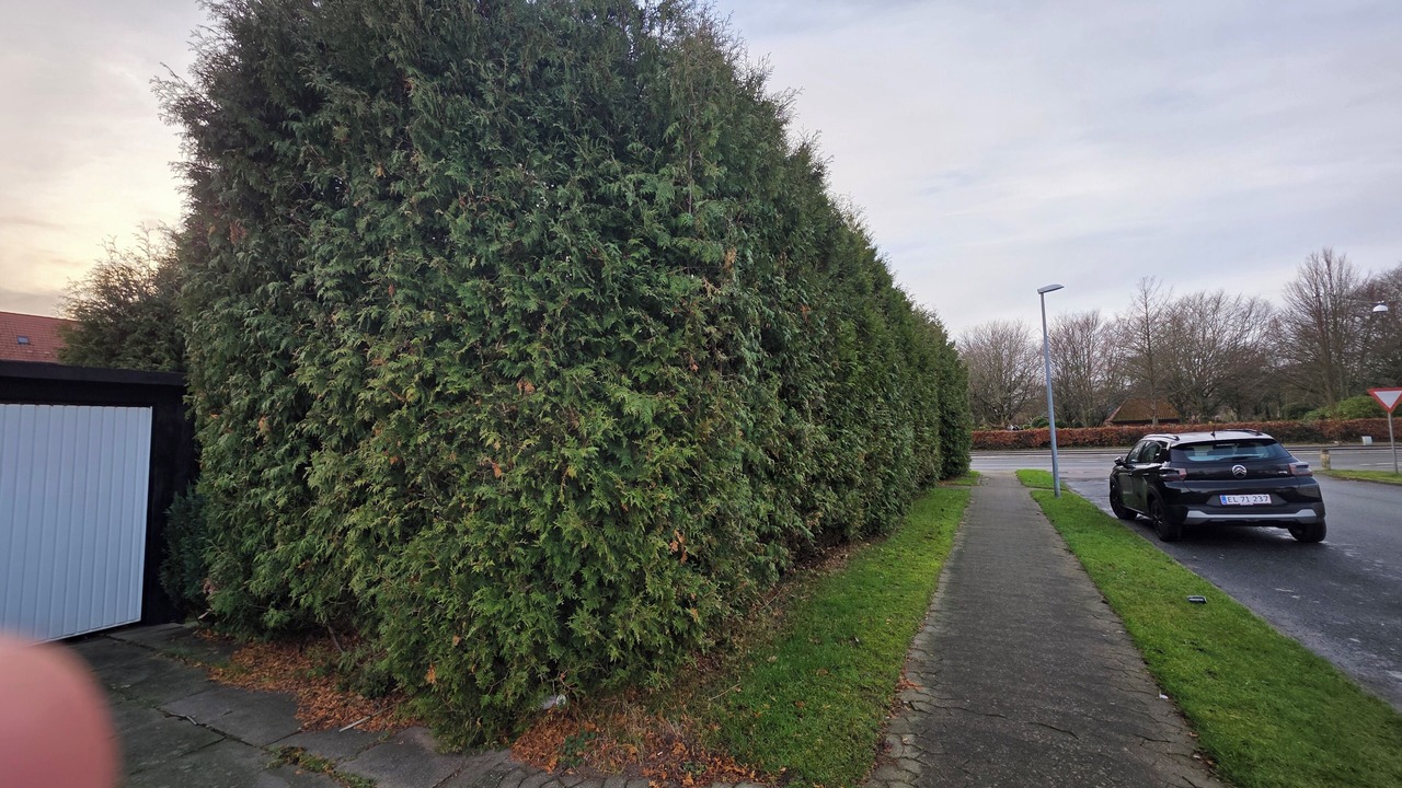 Photo of Outdoor in Esbjerg