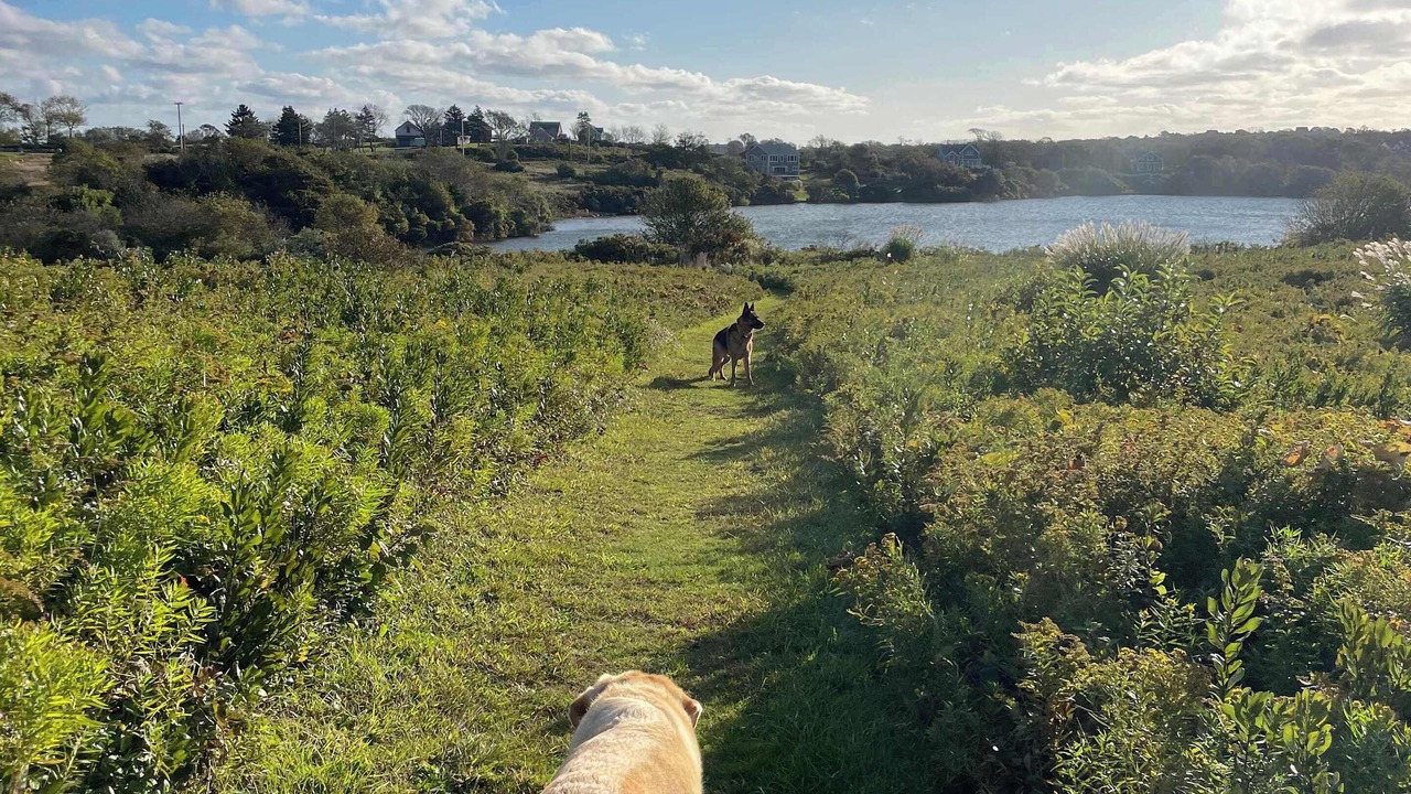 Photo of Others in Block Island